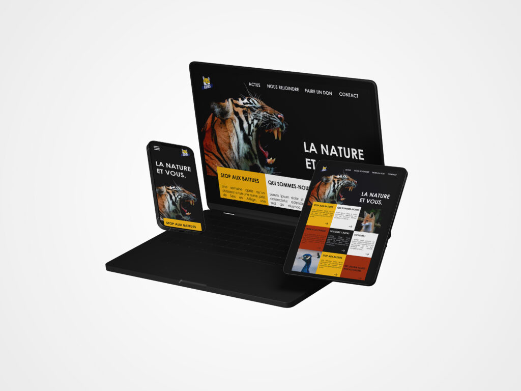 Création de la maquette pour une refonte du site de l'ASPAS, design graphique