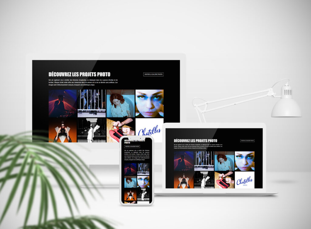 En tant que professionnelle du web et du design graphique, j'ai eu le privilège de collaborer avec Amandine Guenet, photographe et designer graphique parisienne, pour créer un site web qui soit à la fois son portfolio et une extension de son art.